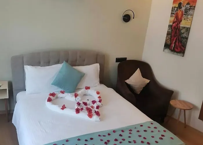 ゲストハウス Sigaciksenkonukevi